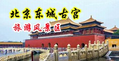 狂日肥穴网站中国北京-东城古宫旅游风景区